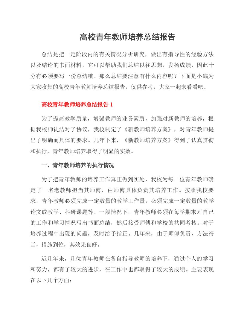 高校青年教师培养总结报告