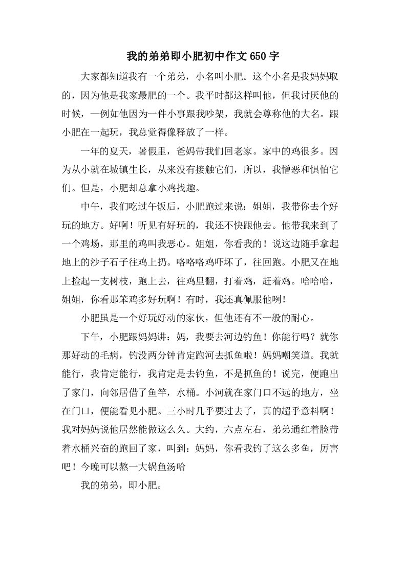 我的弟弟即小肥初中作文650字