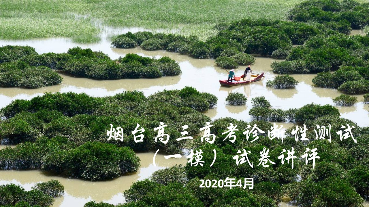 2020年4月高三地理高考诊断性测试(一模)考试试卷讲评课件