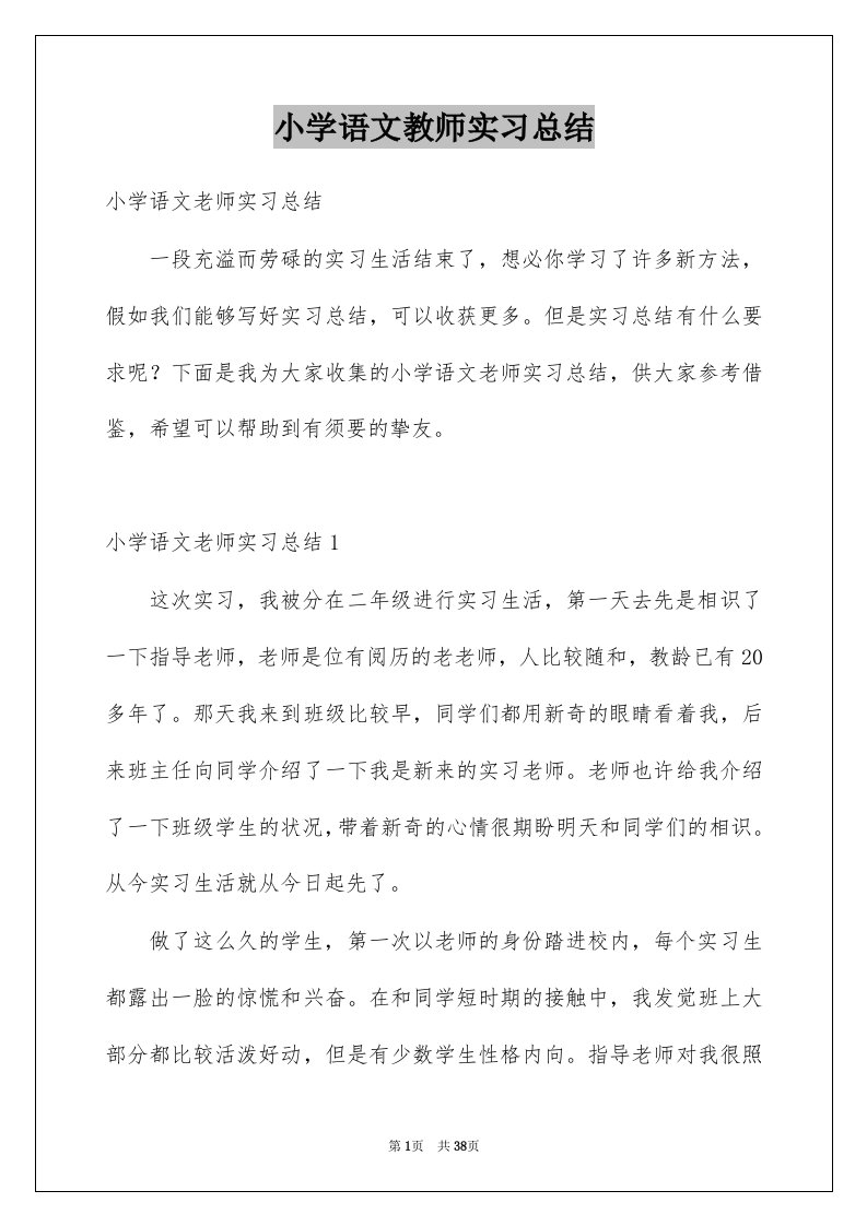 小学语文教师实习总结例文