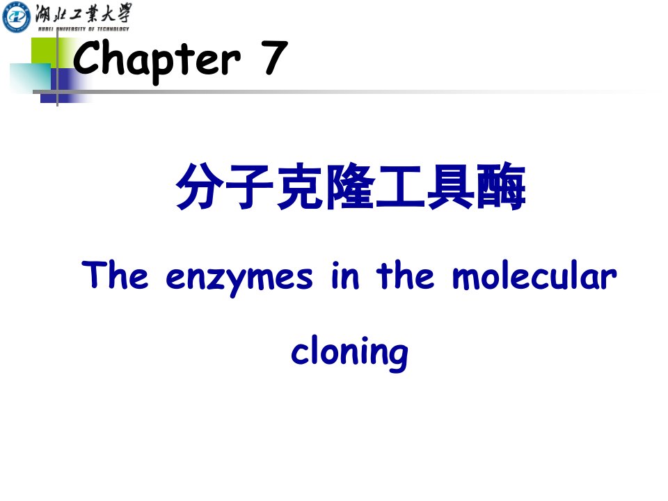 CHAPTER7分子克隆工具酶讲义教材