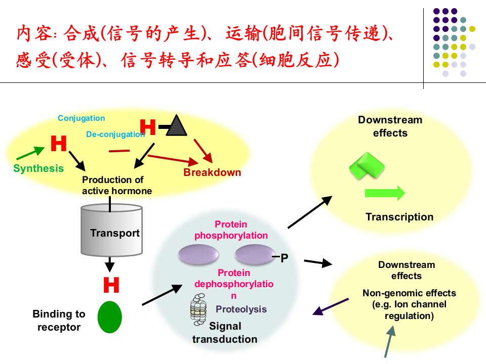 植物生理专题