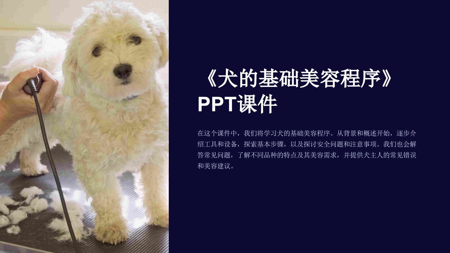 《犬的基础美容程序》课件