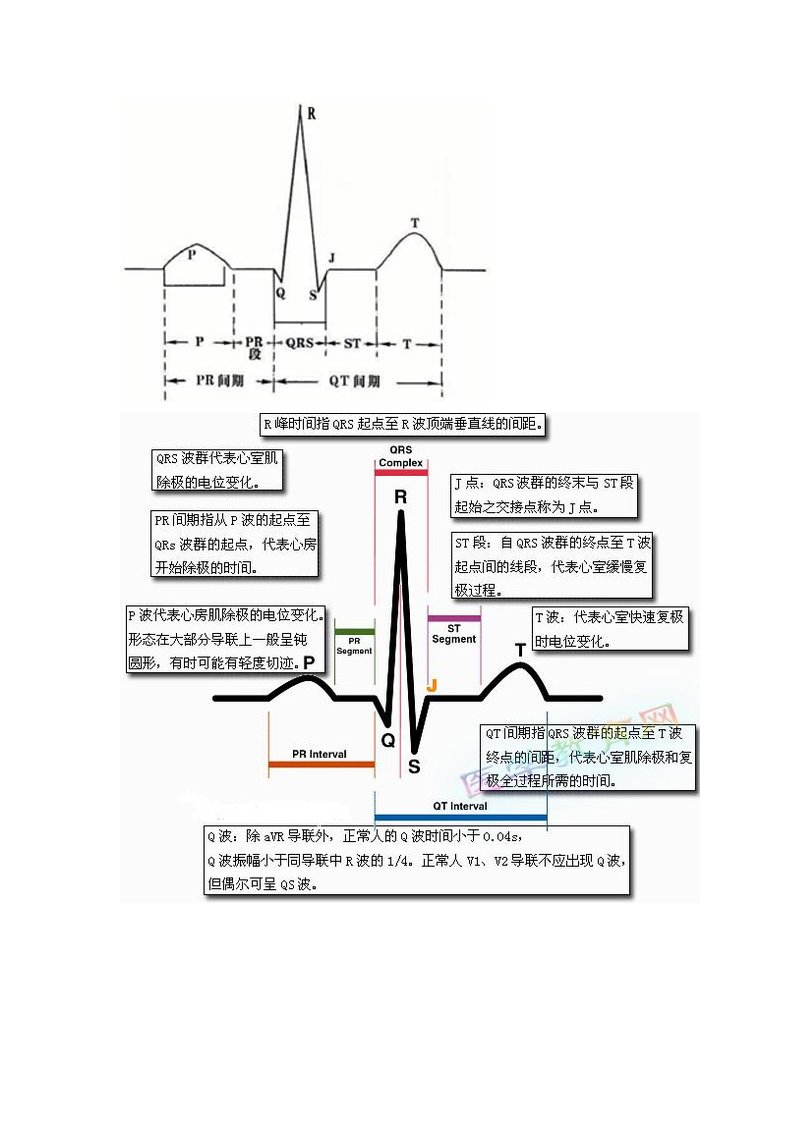 心电图基础知识