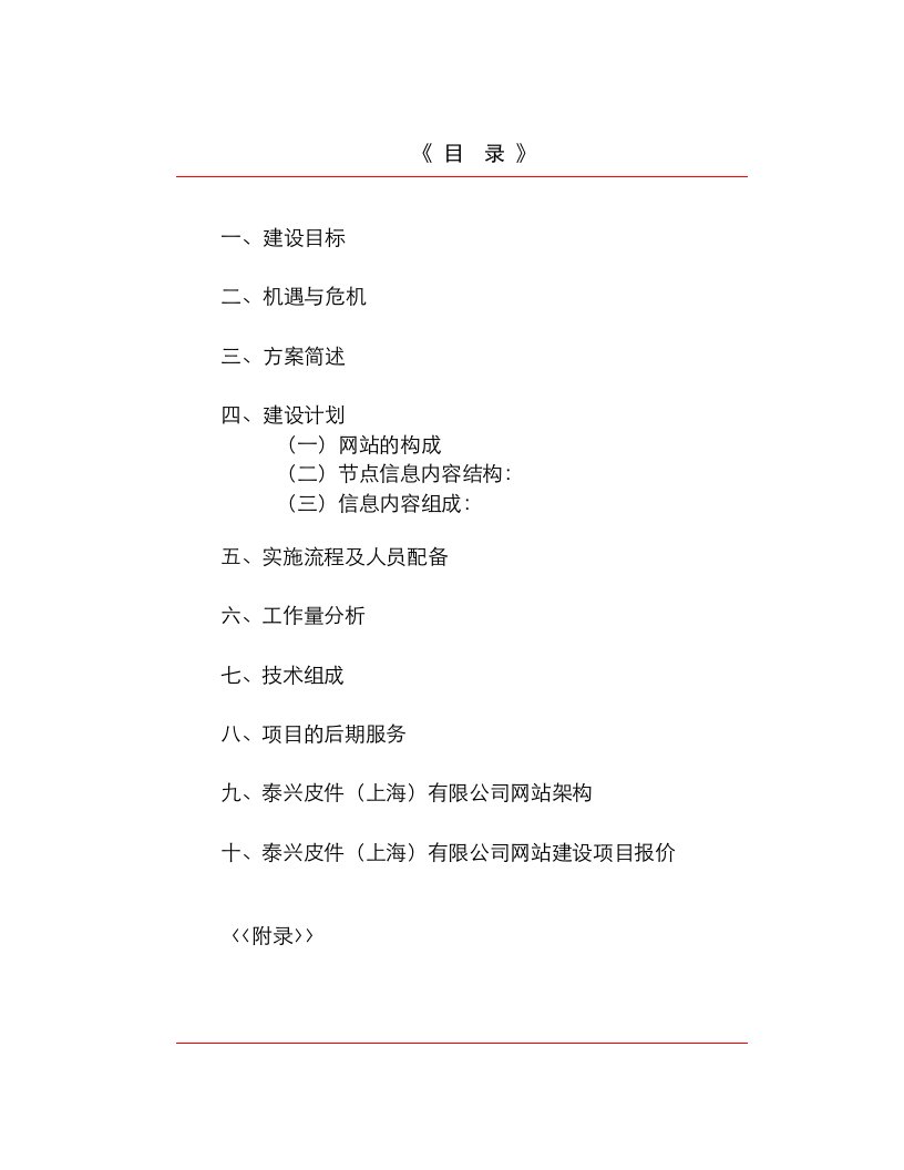 项目管理-泰兴皮件网站建设项目建议书