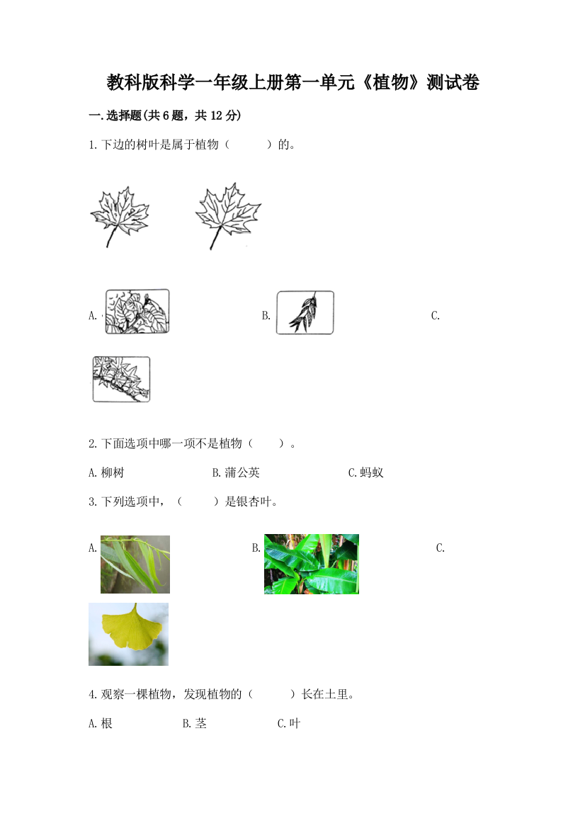 教科版科学一年级上册第一单元《植物》测试卷【b卷】