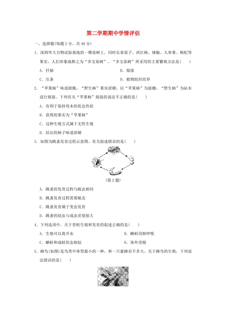 2024八年级生物下学期期中学情评估新版新人教版