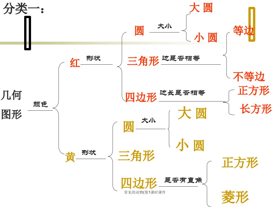 常见的动物第1课时课件