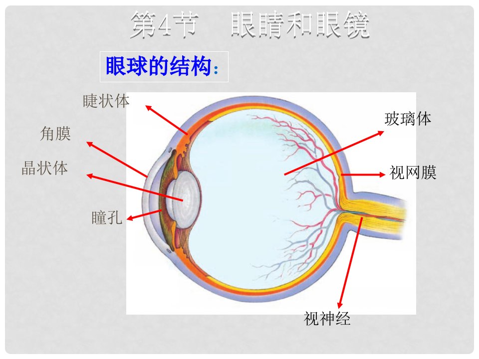 八年级物理上册