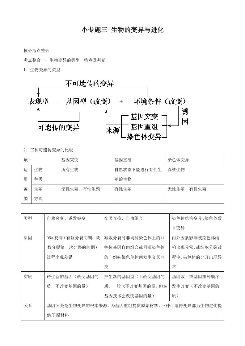 高三生物复习学案：专题4