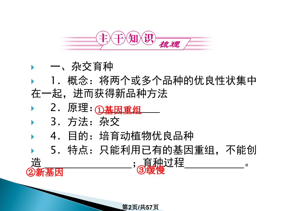 高三生物一轮复习必修二章从杂交育种到基因工程