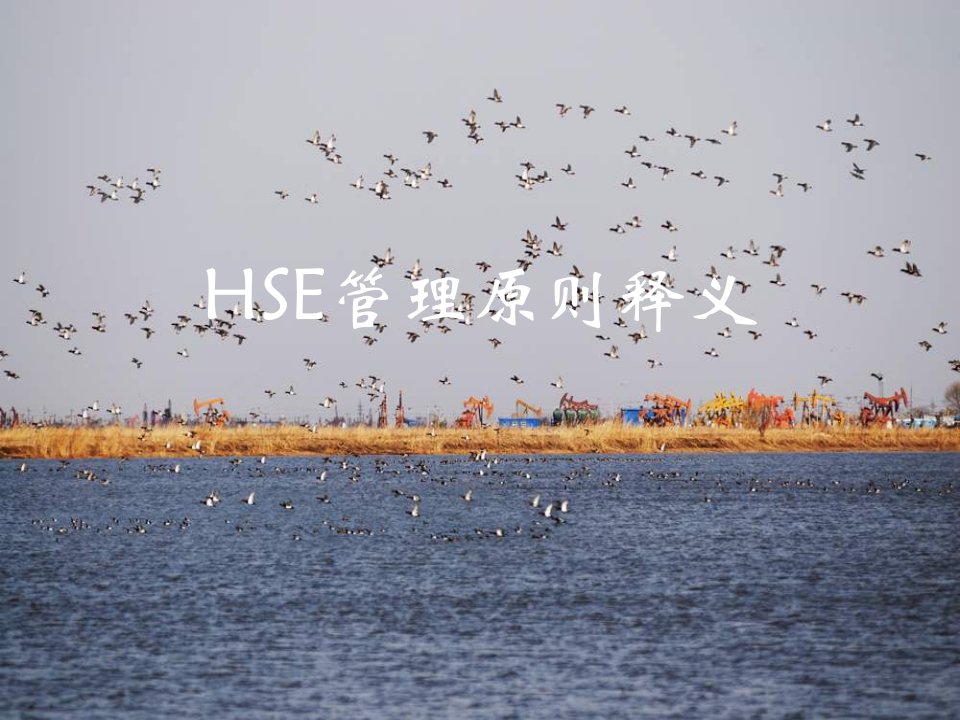 《HSE管理原则》PPT课件