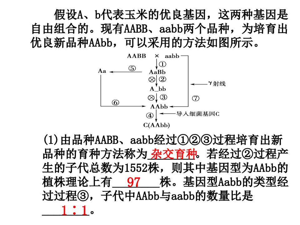 《现代生物进化理论的由来》