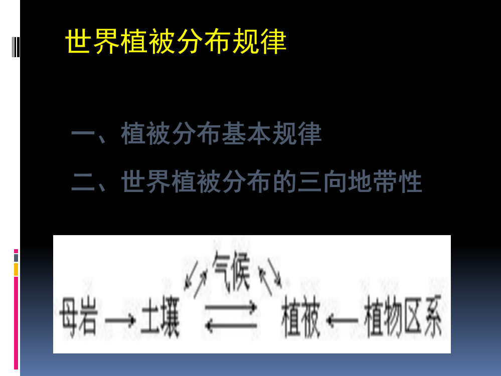 植被分布规律ppt课件