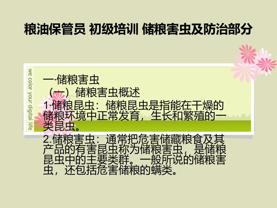 粮油保管员初级培训储粮害虫及防治部分（ppt课件）