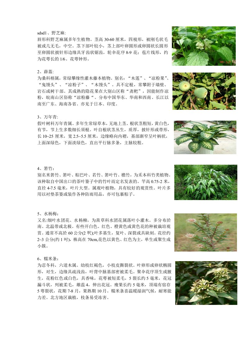 玄武湖植物简介