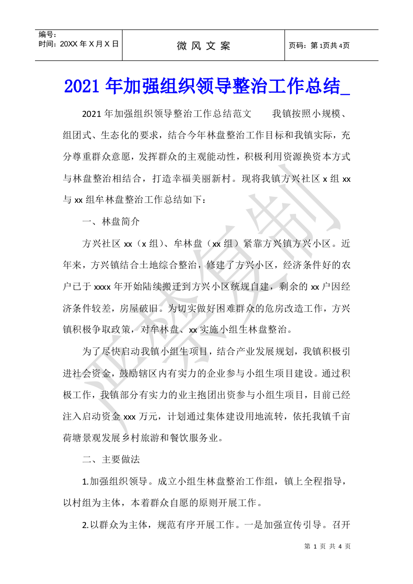 2021年加强组织领导整治工作总结