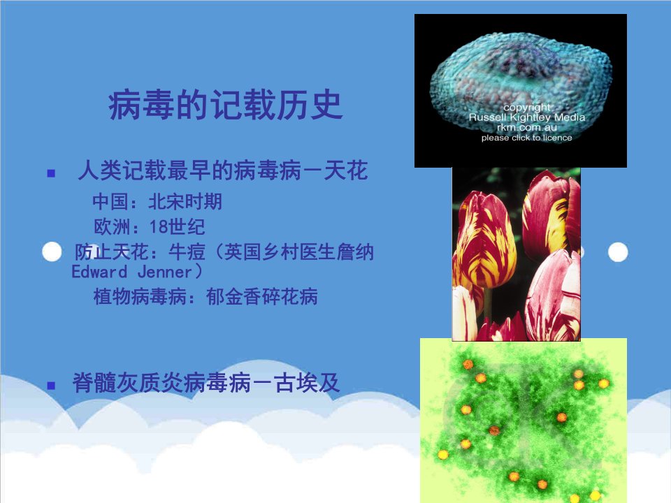 生物科技-华东理工微生物课件4