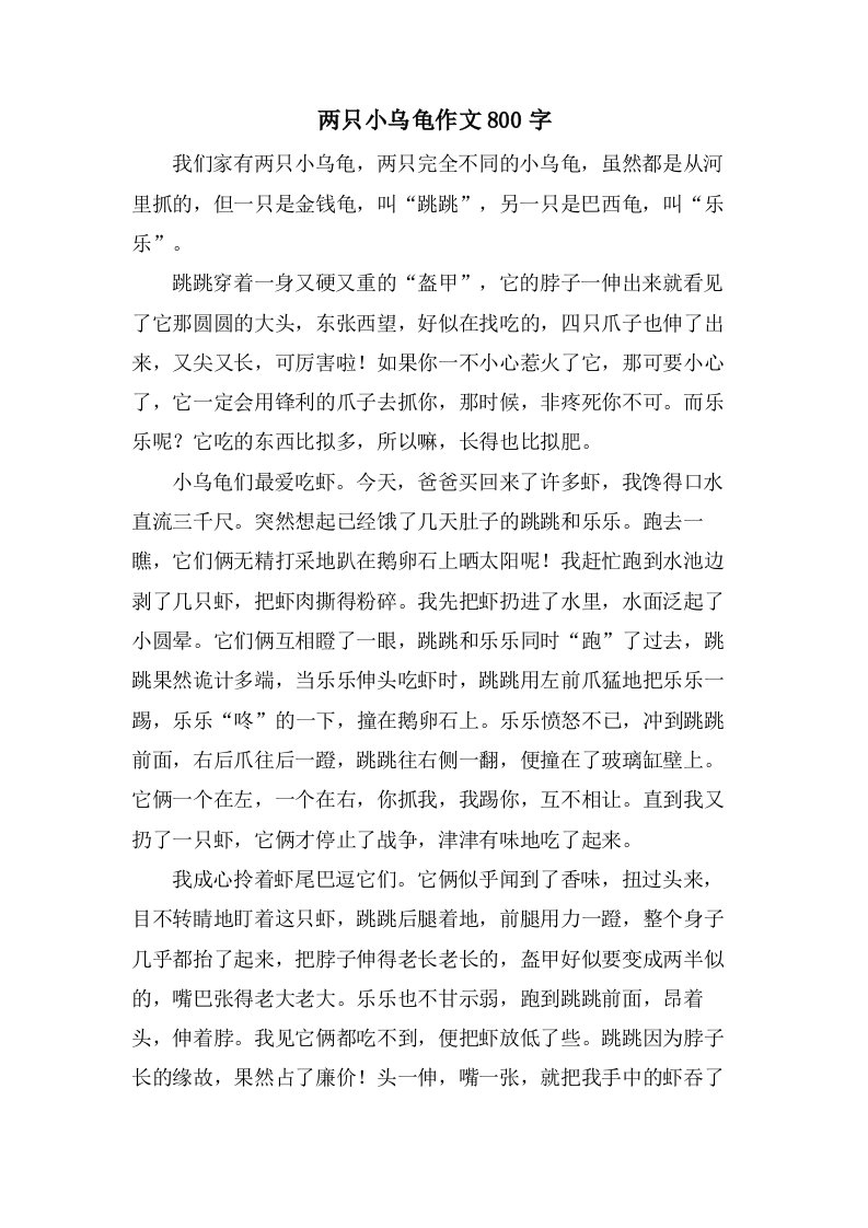 两只小乌龟作文800字