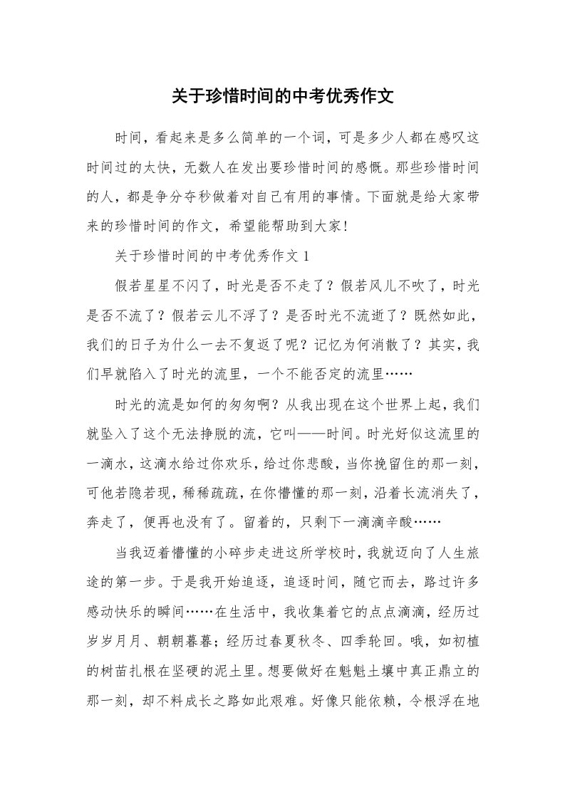 关于珍惜时间的中考优秀作文