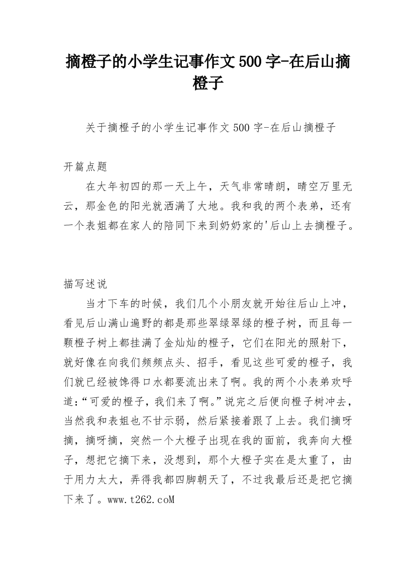 摘橙子的小学生记事作文500字-在后山摘橙子