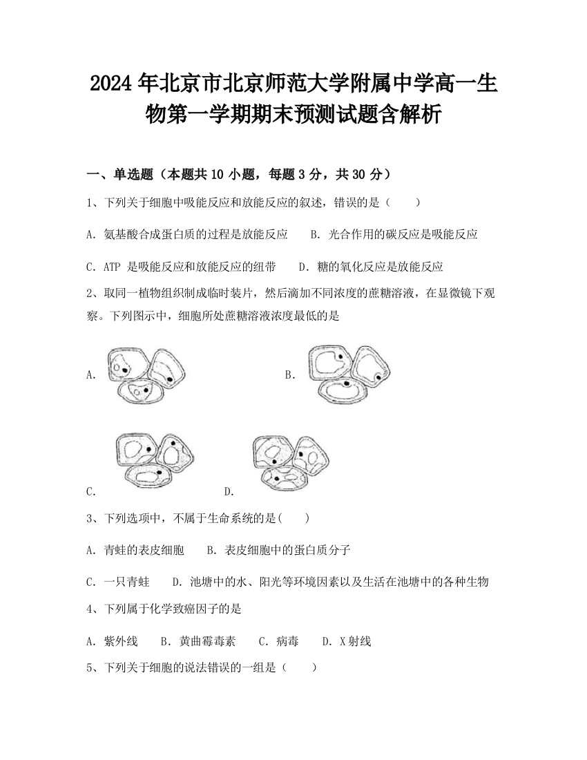 2024年北京市北京师范大学附属中学高一生物第一学期期末预测试题含解析