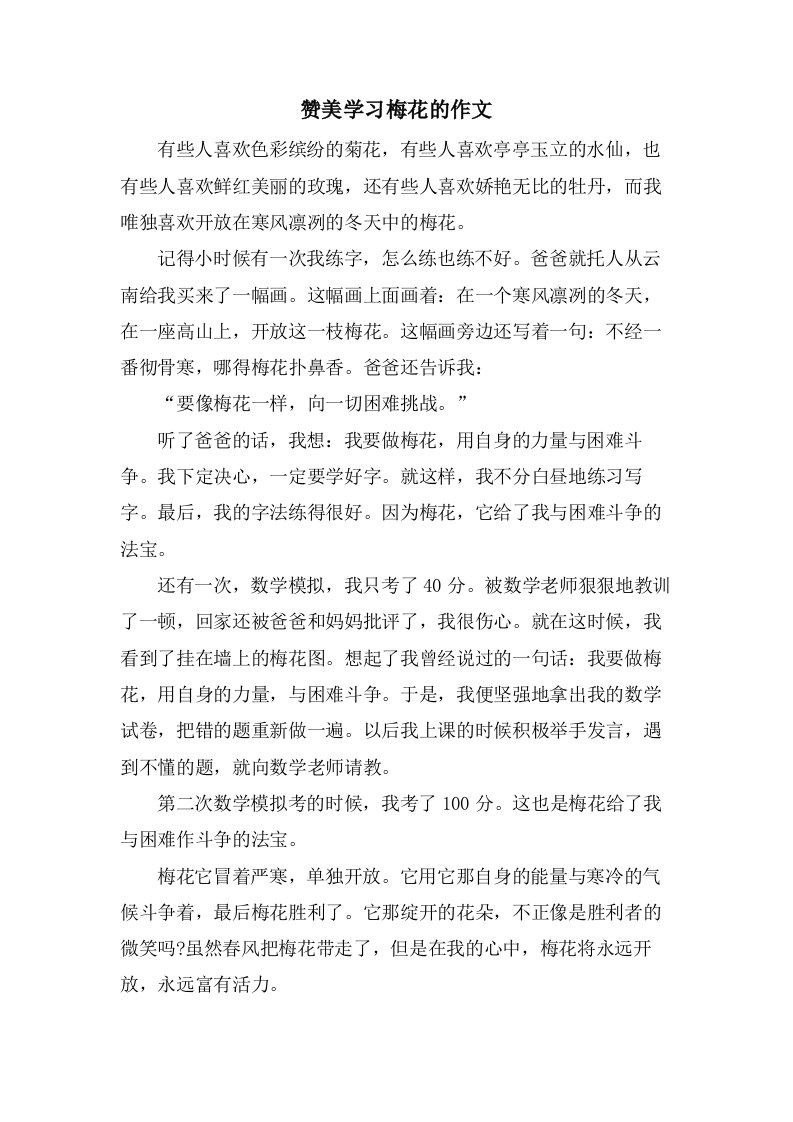 赞美学习梅花的作文