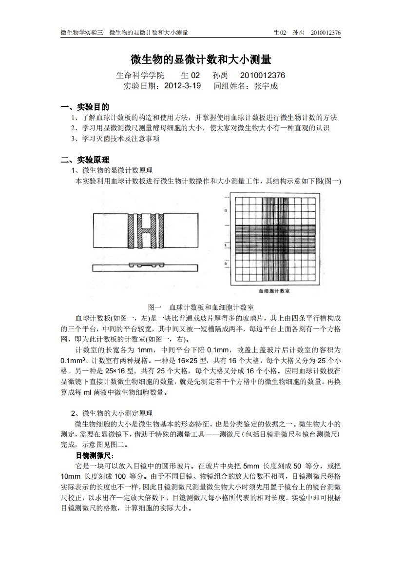 微生物的显微计数和大小测量