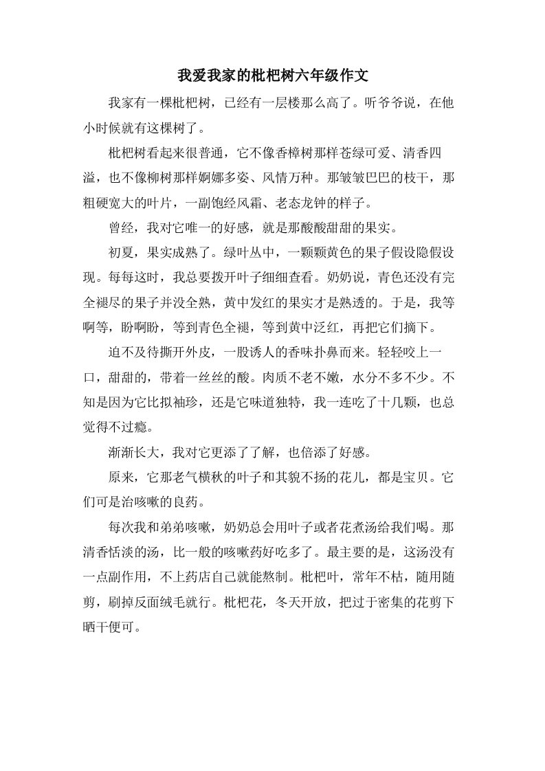 我爱我家的枇杷树六年级作文