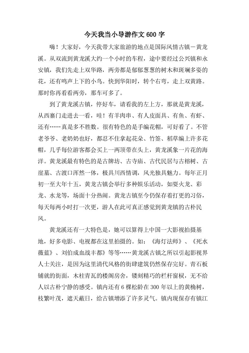 今天我当小导游作文600字