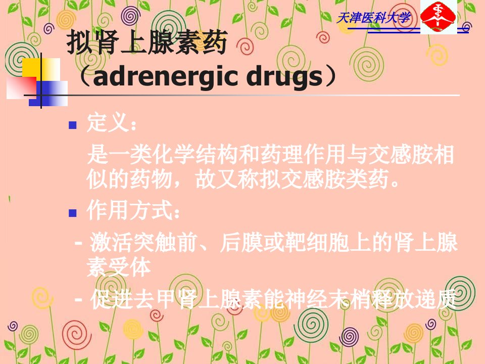 拟抗肾上腺素药课件