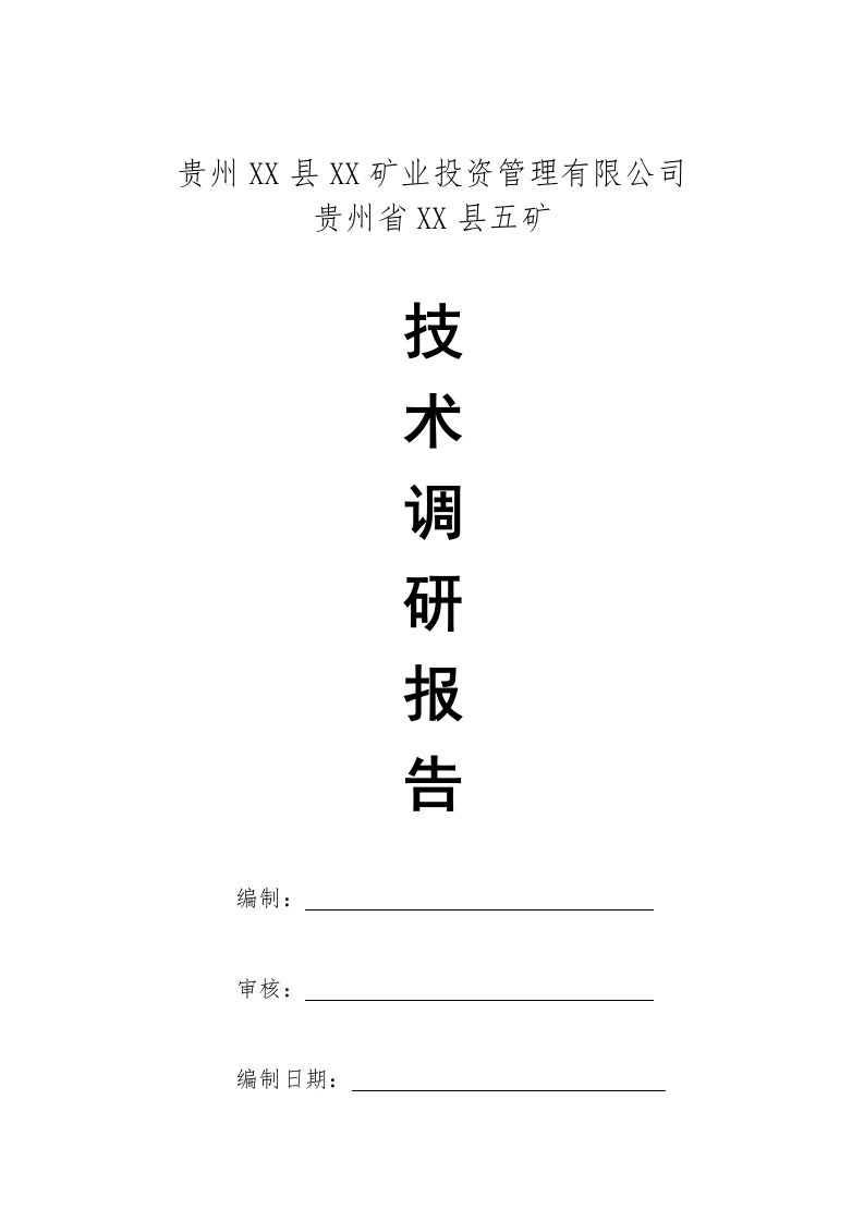 某集公司并购矿井技术调研报告