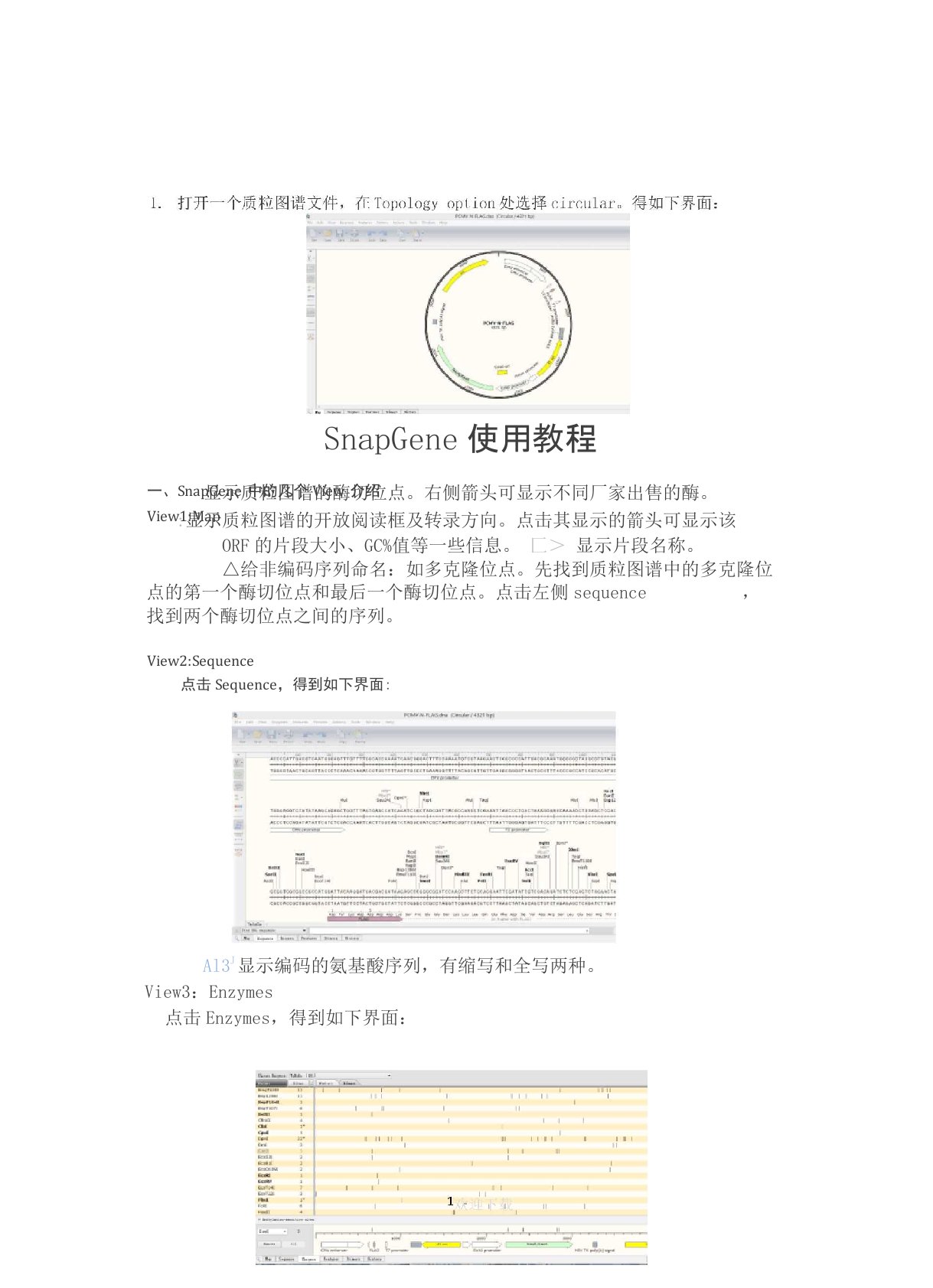 SnapGene中文使用教程