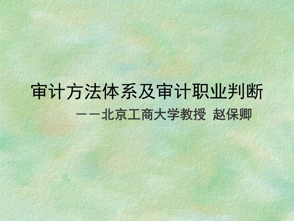 审计方法体系及审计职业判断北京工商大学教授赵保卿ppt件