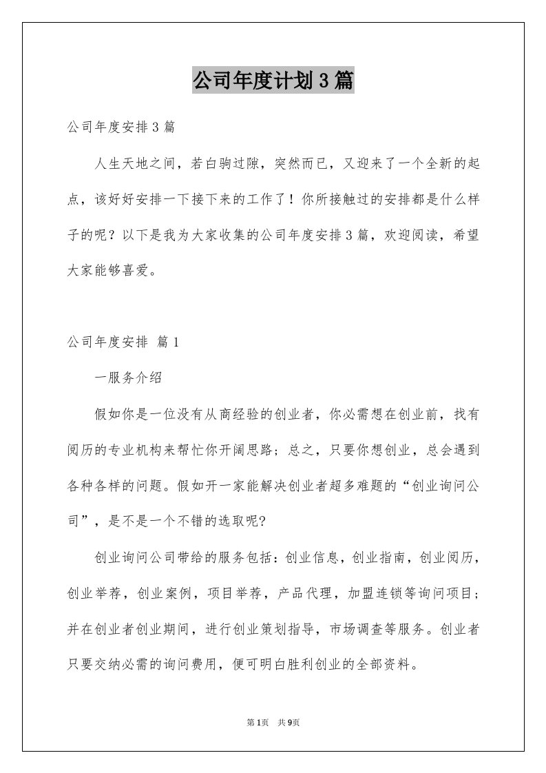 公司年度计划3篇范文