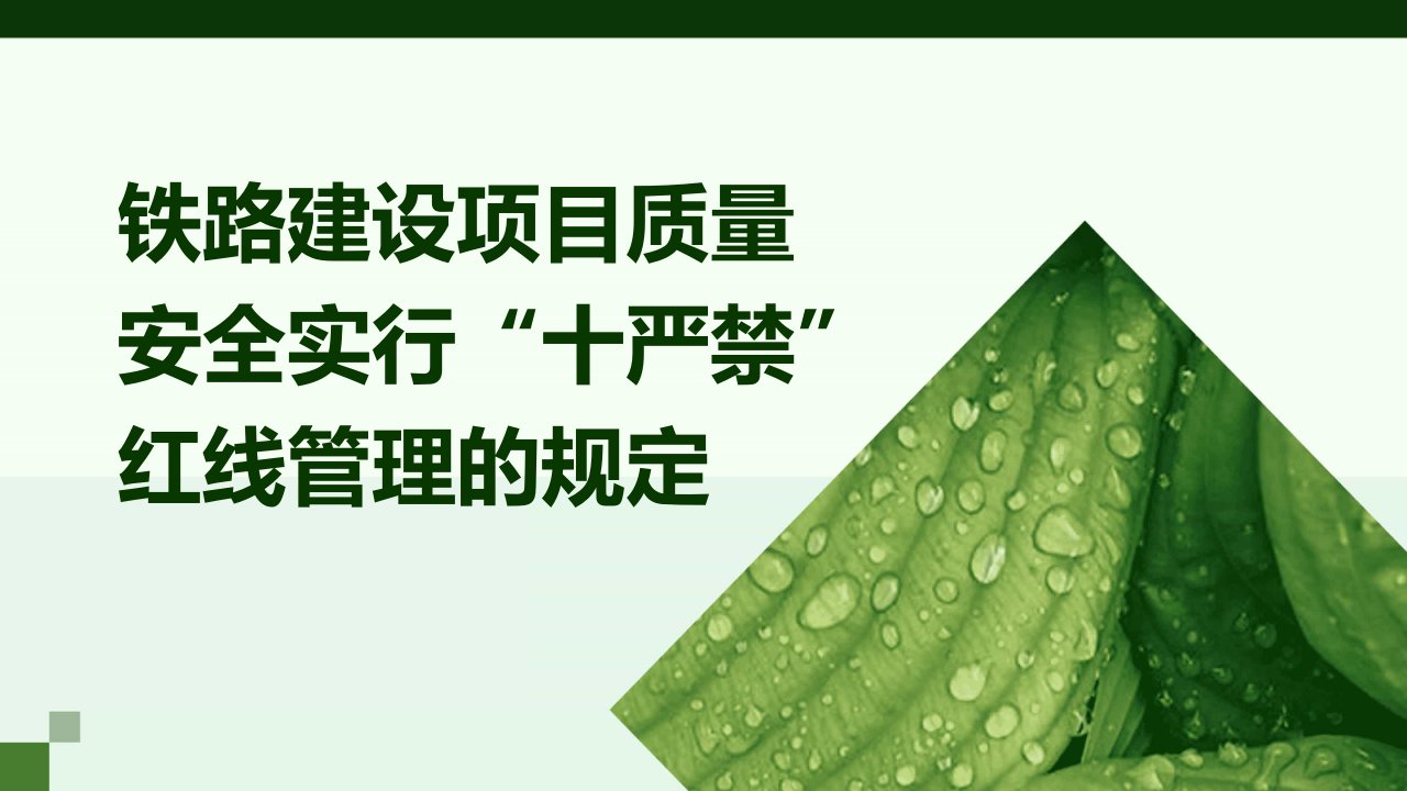 铁路建设项目质量安全实行“十严禁”红线管理的规定课件