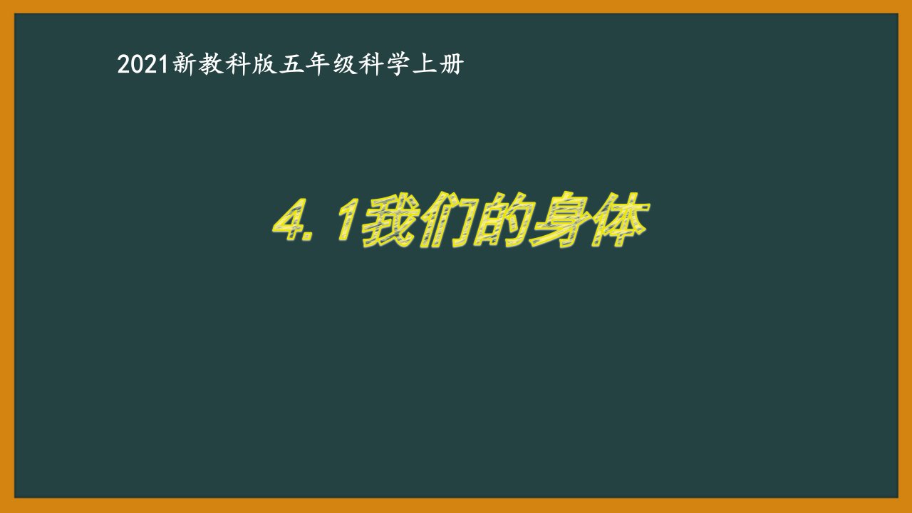 新教科版2021杭州五年级科学上册第四单元《健康生活》全部课件（共7课时）