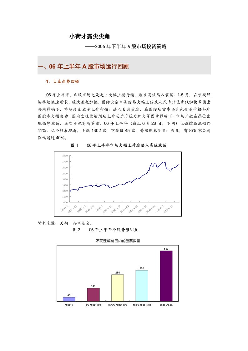 A股市场投资策略DOC