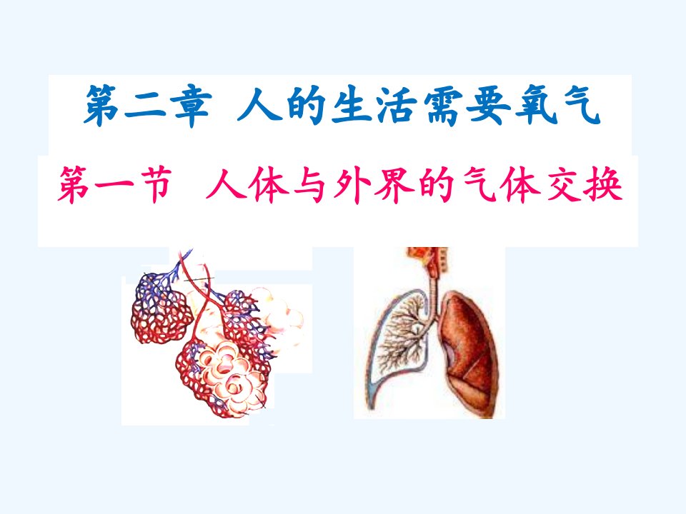 3.2.1人体与外界的气体交换