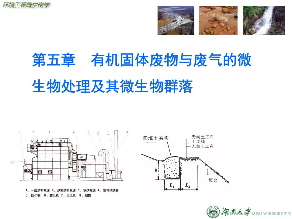 有机固体废弃物与废气的微生物处理及其微生物群落