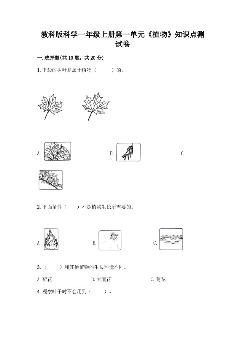 教科版科学一年级上册第一单元《植物》知识点测试卷附完整答案(夺冠)