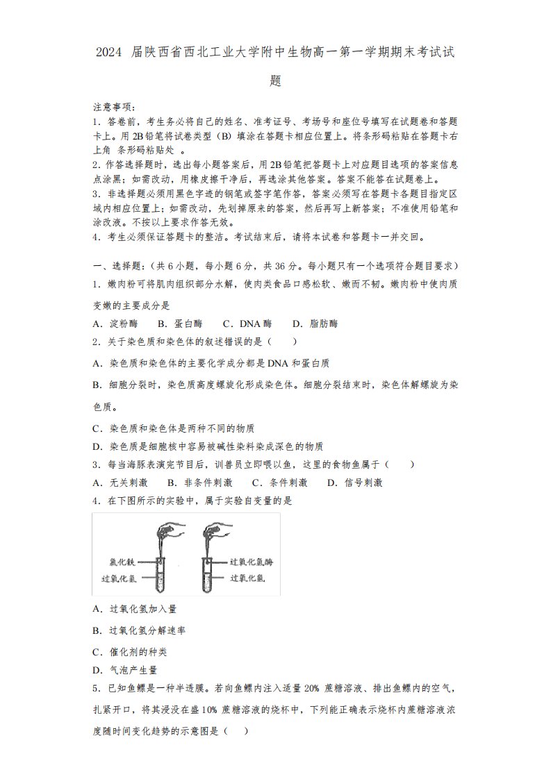 2024届陕西省西北工业大学附中生物高一第一学期期末考试试题含解析