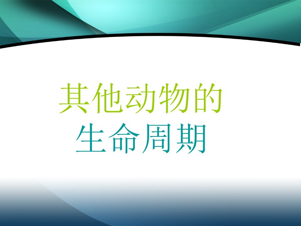 科教版三年级科学下册课件其他动物的生命周期