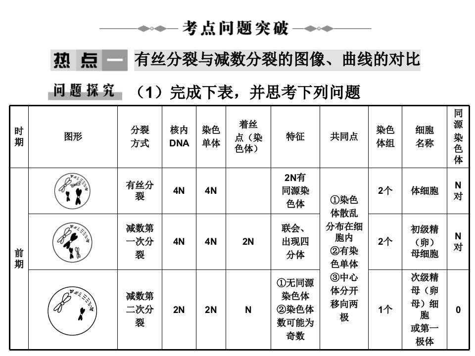 最新学案细胞的增殖97PPT课件