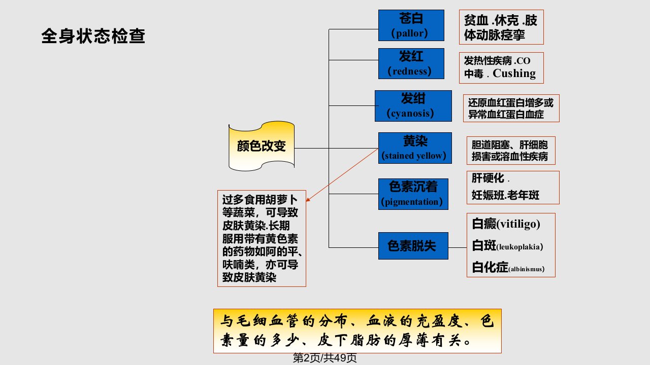 一般检查皮肤