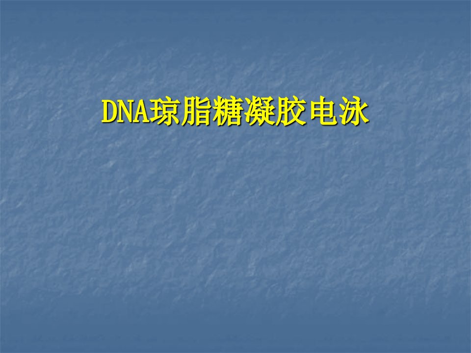 DNA琼脂糖凝胶电泳制备全过程图解课件