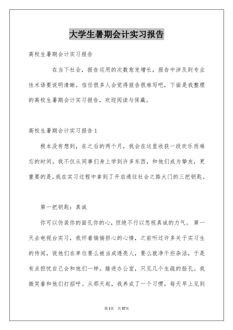 大学生暑期会计实习报告范本