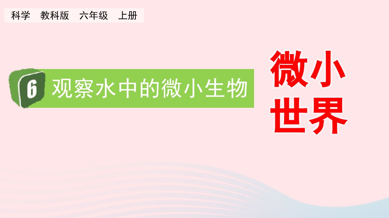 2023六年级科学上册微小世界1.6观察水中的微小生物精盐件教科版