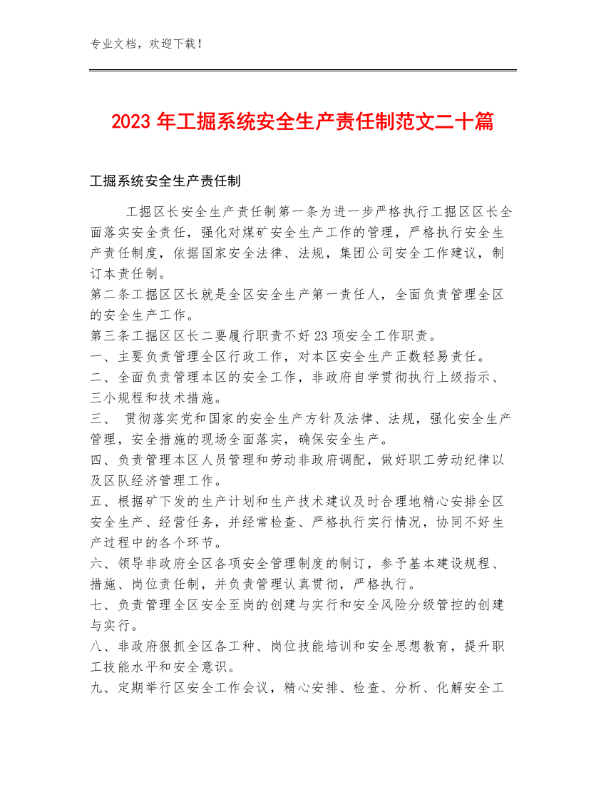 2023年工掘系统安全生产责任制范文二十篇