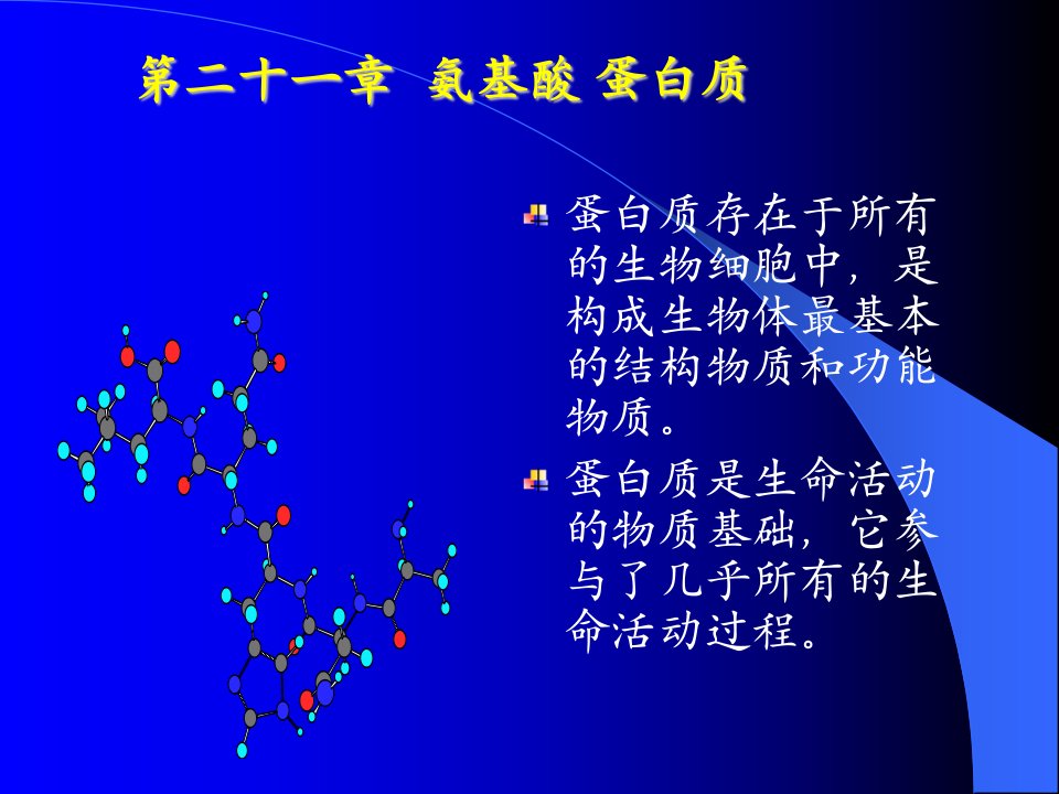 氨基酸蛋白质